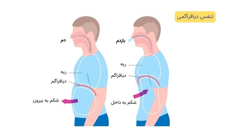 تنفس دیافراگمی