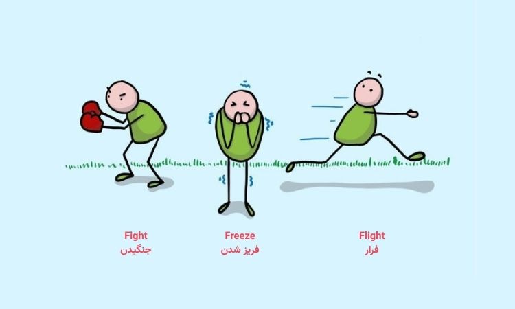 Fight-Freeze-Flight